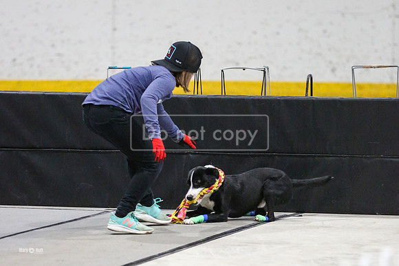 MCH52546