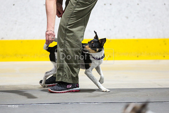 MCH52885