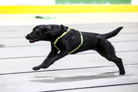 MCH53324
