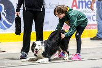 Race 15, Milwaukee Dogs/ Great Balls of Fur, High Fives/Black