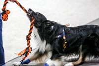 MCH53666