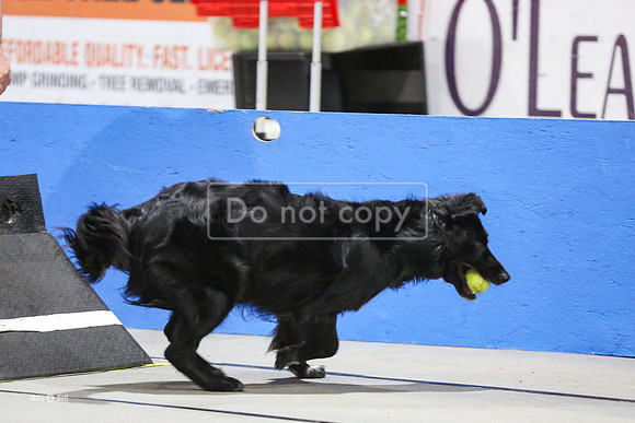 MCH53994