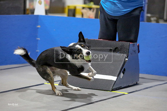 MCH50785