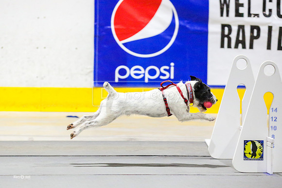 MCH51345