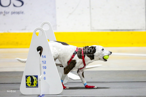 MCH51435