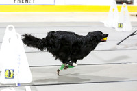 MCH52135