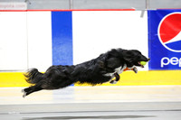 Race 46, Ulti-Mutts/1, Ruff Position/F-Stop