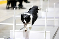 MCH52246