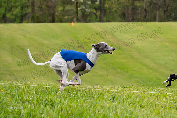 Prelims Open A2, Poppy Mateo Misty-3180
