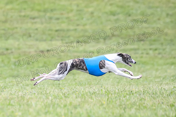 Prelim Open F5, Brinca Laila Storm-9399
