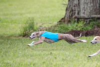 Prelim Specials A2, Laina Mantle Sassy-9623