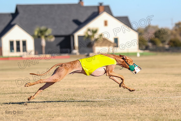 1Prelims Spec 2 Tango Cuest-0890