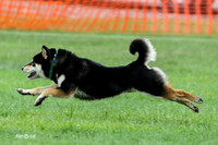 MCH79790