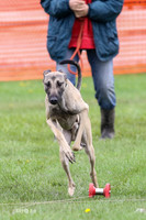 MCH70345