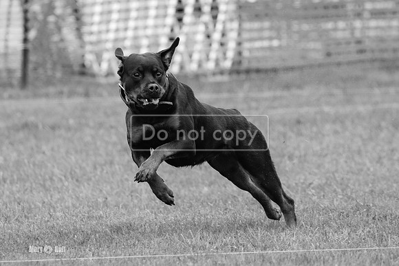 MCH70007-2