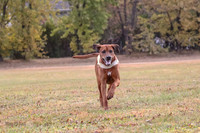 1 Prelims Fch 1 Ace Dakota Remmy-0279
