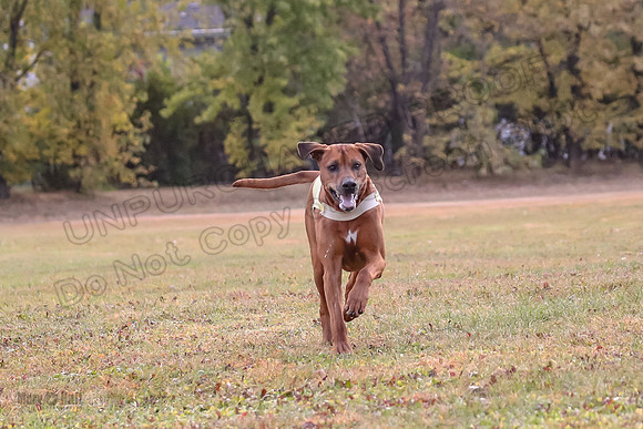 1 Prelims Fch 1 Ace Dakota Remmy-0279