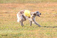 1 Prelims Open Spiff Ripley-0515