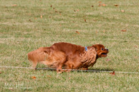 IMG_8150