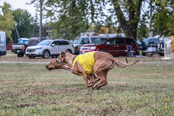 1 Prelims Open Kinky Rein-0226