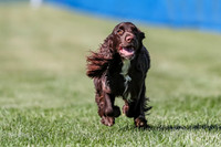 AE4I3832
