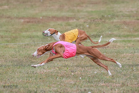 1 Prelims Fch 2 Madyson Maverick-5849