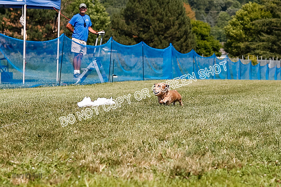 _E4I0039