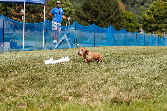 _E4I0042