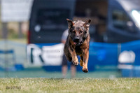 _E4I0350