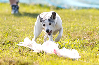 _E4I6792