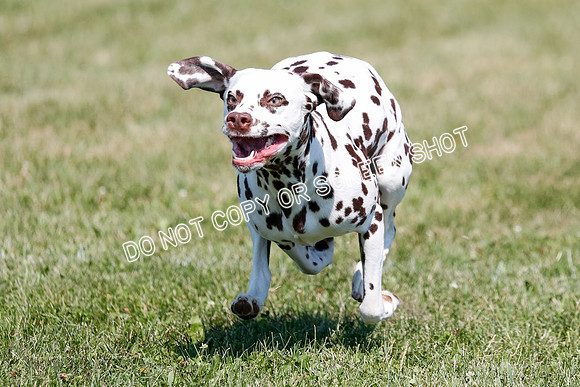 _E4I5066
