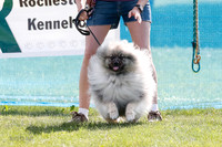 _E4I2615