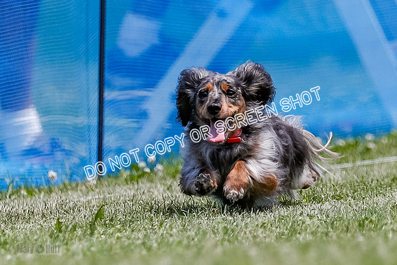 _E4I0511