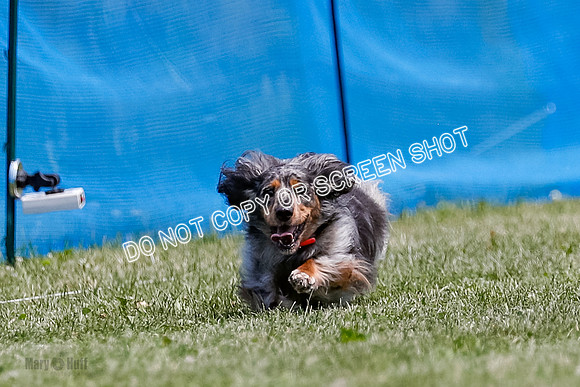 _E4I0505