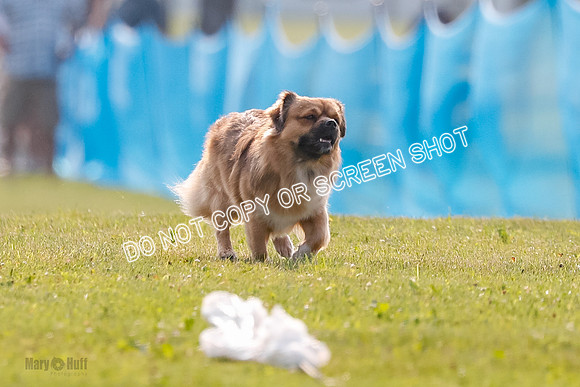 _E4I7937
