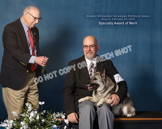 Elkhound 2020-1144-Edit-Edit