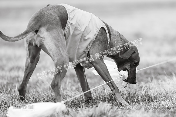 _E4I4015-2