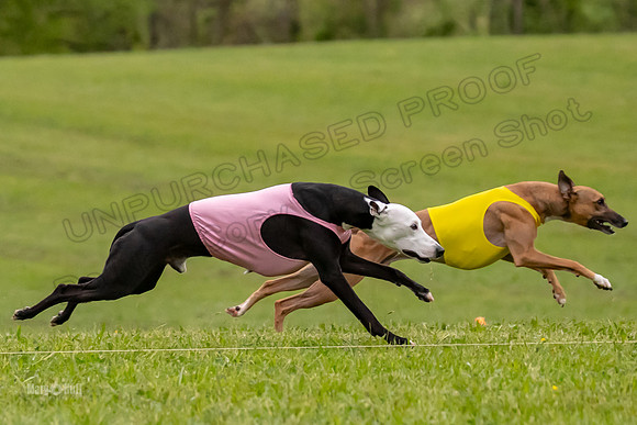Prelim Open C1, Wrath Ozzy Fia-3892