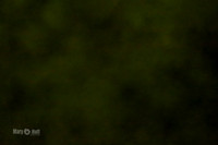 MCH51637