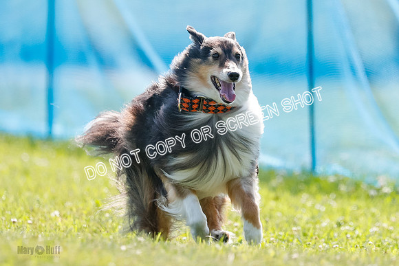 _E4I7354