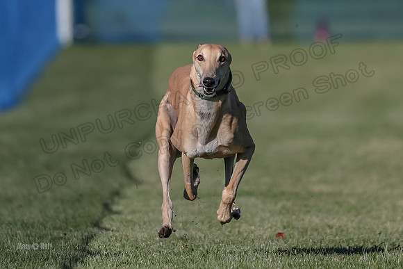 AE4I1225