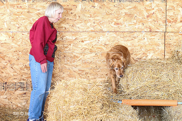 MCH54901