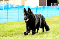 MCH72321