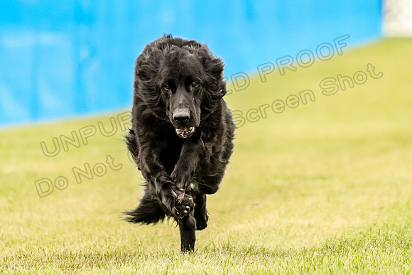 MCH72309