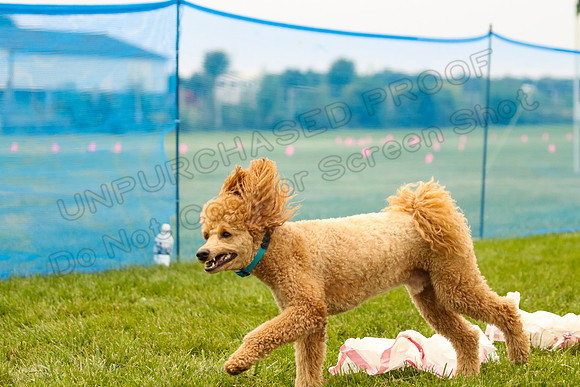 MCH70685