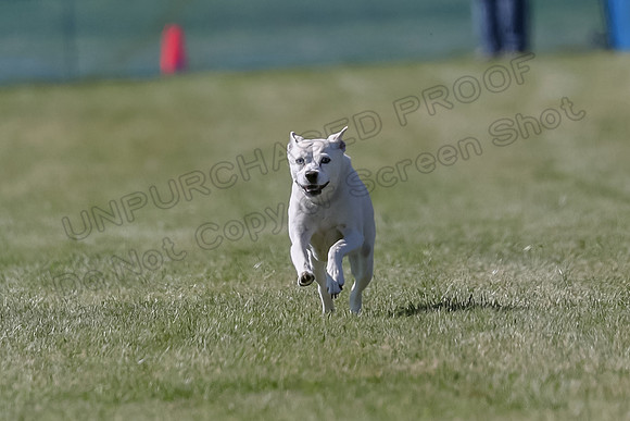 AE4I5154