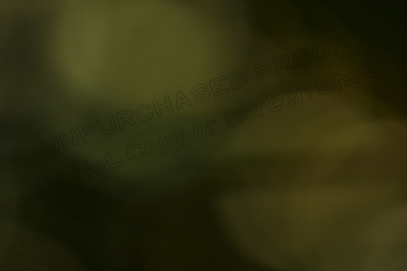 MCH79278