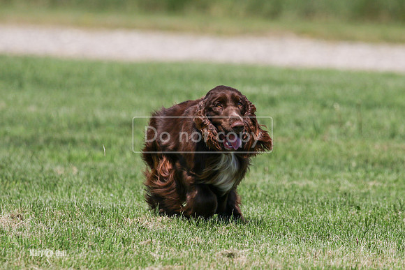 MCH74102
