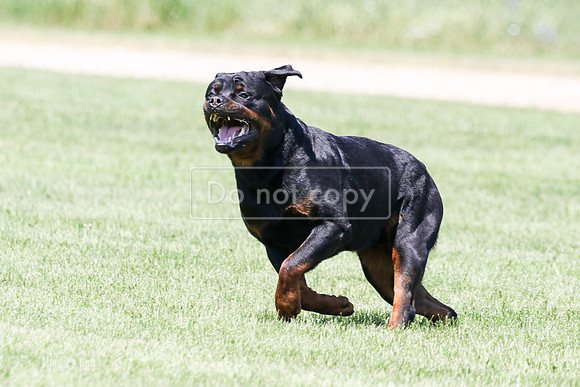 MCH78789