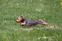 IMG_1240